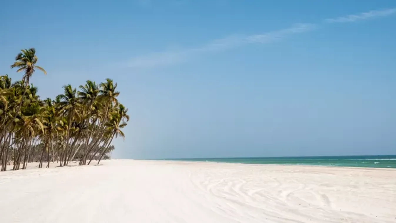 Salalah, a magyarok új kedvence - Fedezd fel az ősi Omán zöldellő paradicsomának elfeledett kincseit