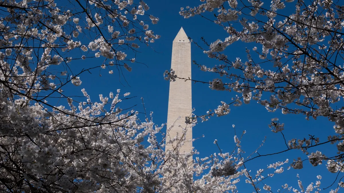 Washington D.C., kvíz