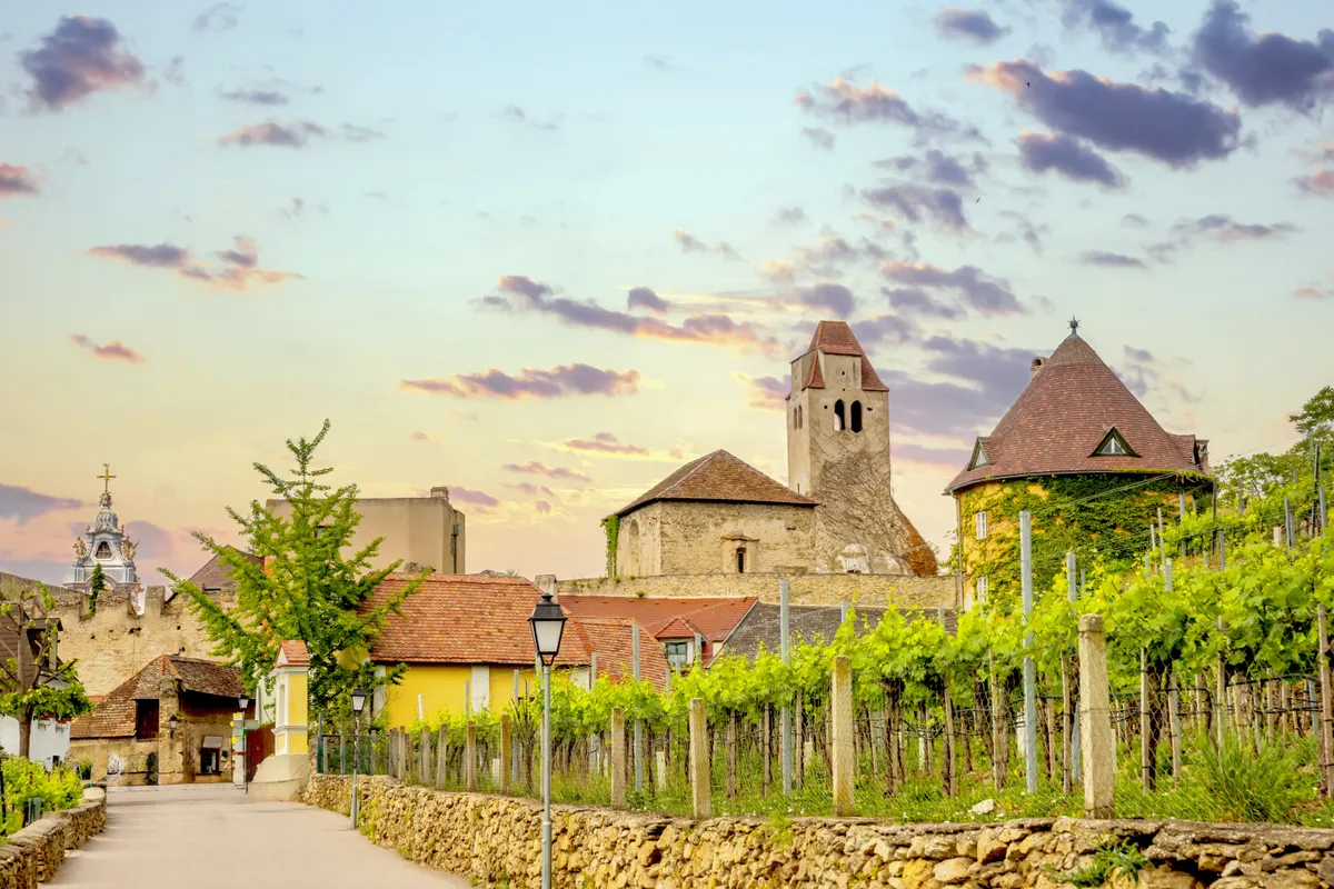 Wachau-völgy, Dürnstein, szőlőültetvények, Ausztria