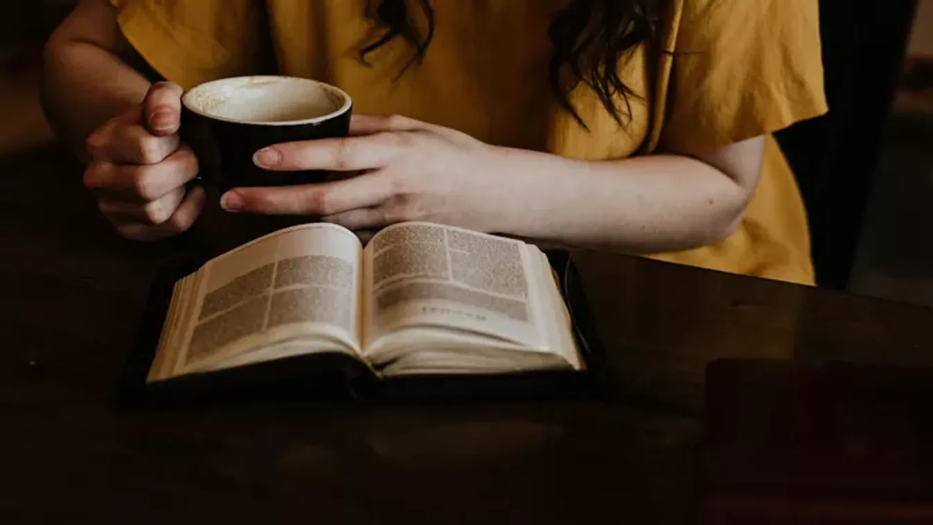 Lehetetlen irodalmi kvíz: valóban ismered a következő klasszikus verseket, vagy csak azt hitted?