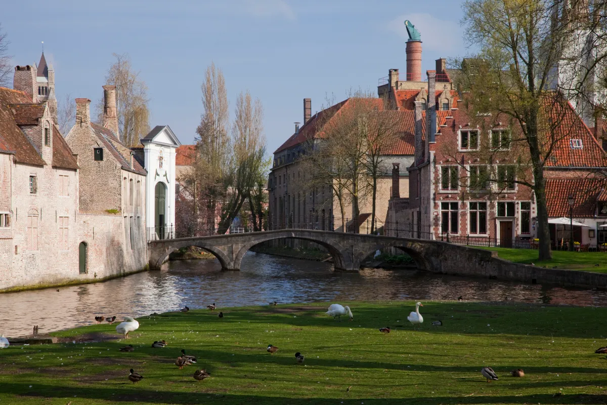 Brugge, Belgium, Beginaudvar, híd, hattyúk, óvárosi környezet