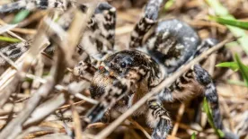 „Olyan voltam, mint egy orvosi rejtély” – Végül megdöbbentő magyarázatot kapott