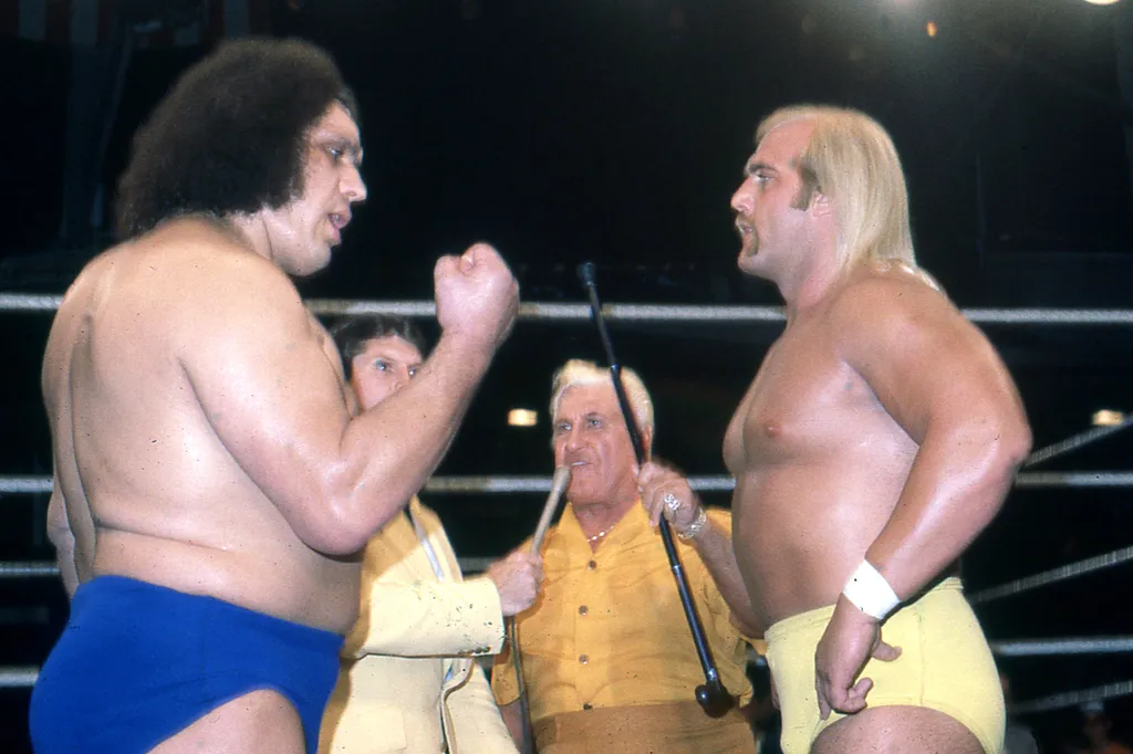 Hulk Hogan galéria