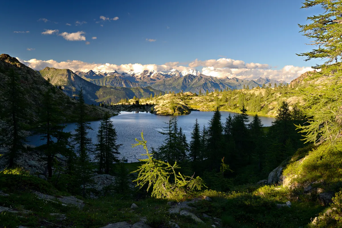 Valle d'Aosta, Mont Avic Regional Park, alpesi táj fenyvesekkel és tóval