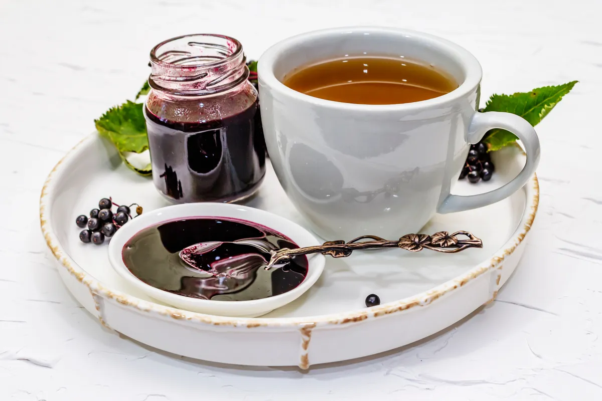 bodzaszirup, tea