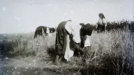 Retró kvíz – 10-ből 9-en elvéreznek rajta, neked sikerül?