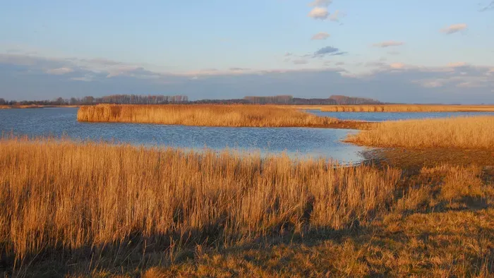 A Fertő-tó rejtett kincsei téged is el fognak varázsolni!