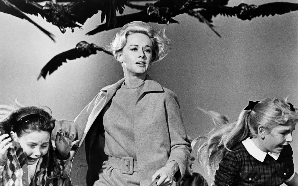 Alfred Hitchcock, kvíz, Madarak, Tippi Hedren
