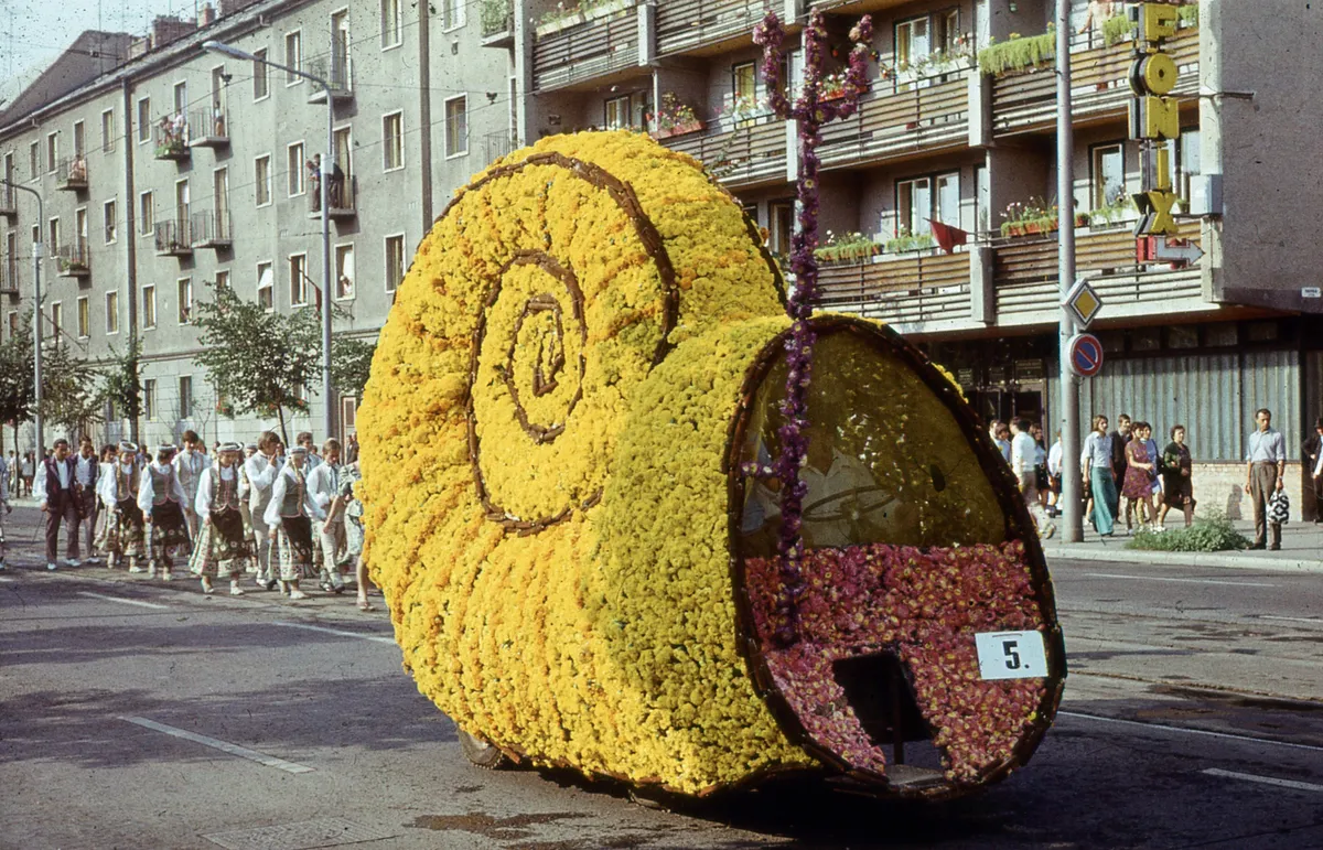 A Debreceni Virágkarnevál mára turisztikai látványosság. 