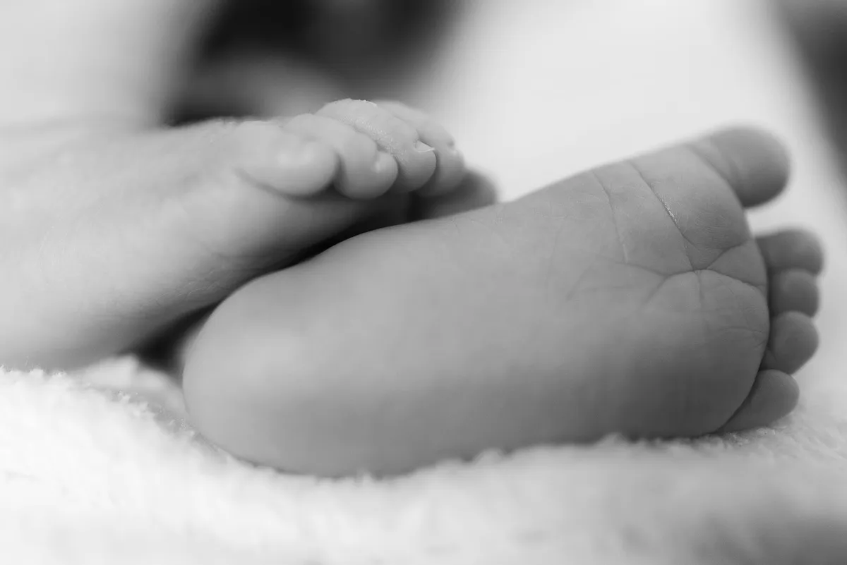 Kutya tépte halálra a kisbabát 