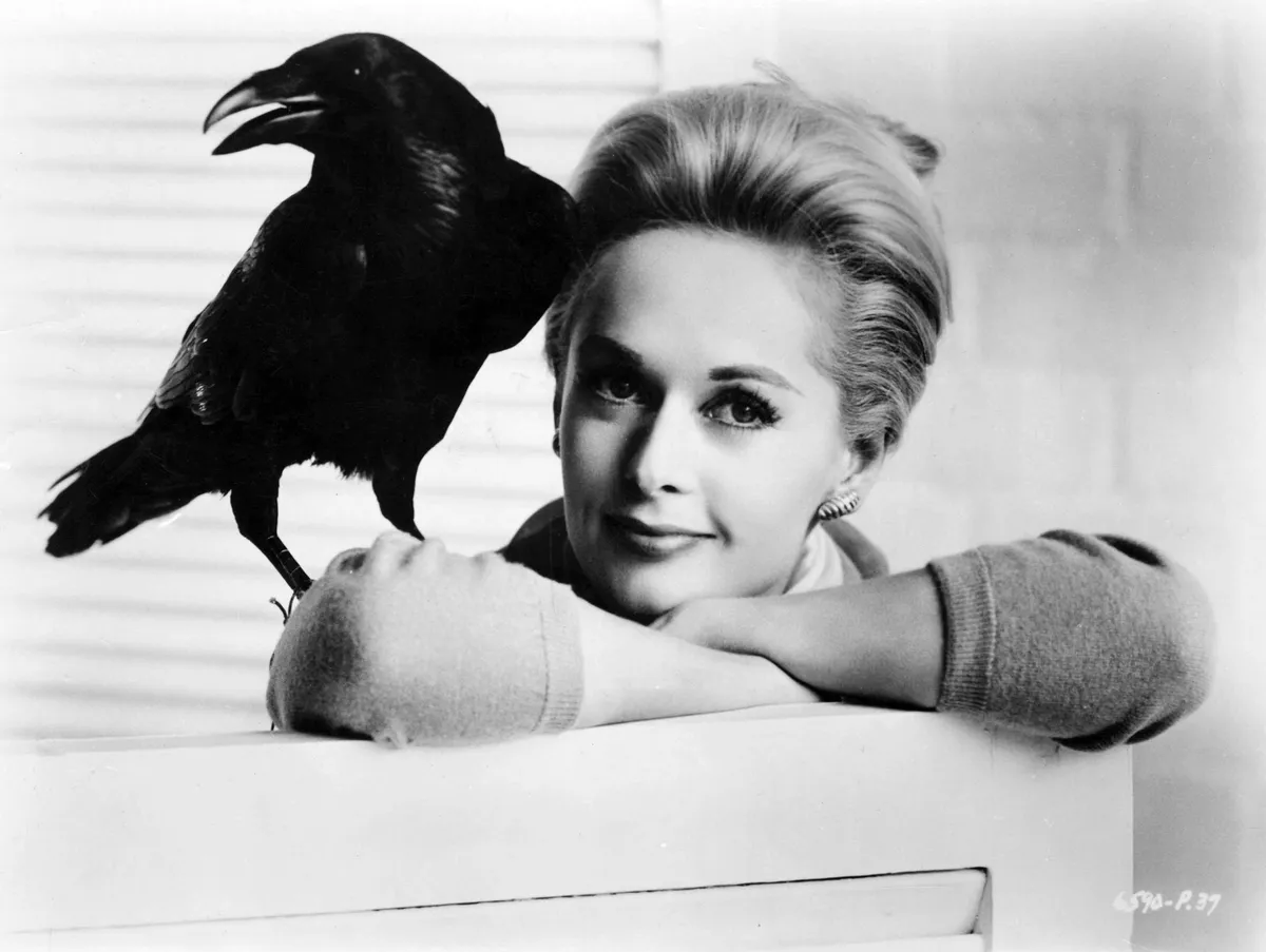 Tippi Hedren játszotta a legendás Madarak főszerepét (Fotó: Album)
