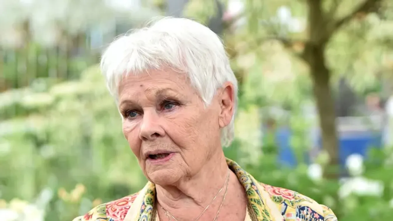 Nem tartotta magában a véleményét Judi Dench! A színésznő Clint Eastwood rendezését kritizálta