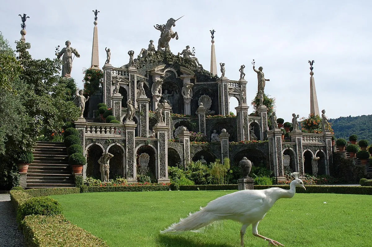 Isola Bella, páva, sziget, Lago maggiore, Olaszország