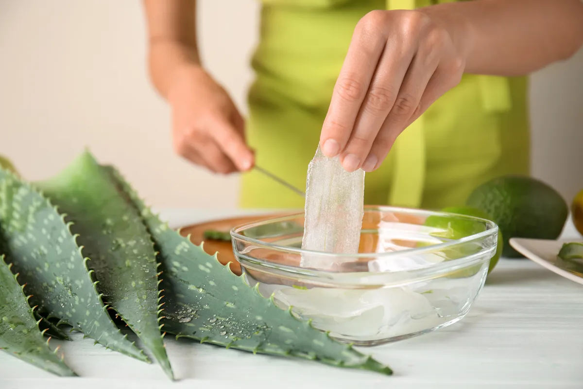 aloe vera zselé
