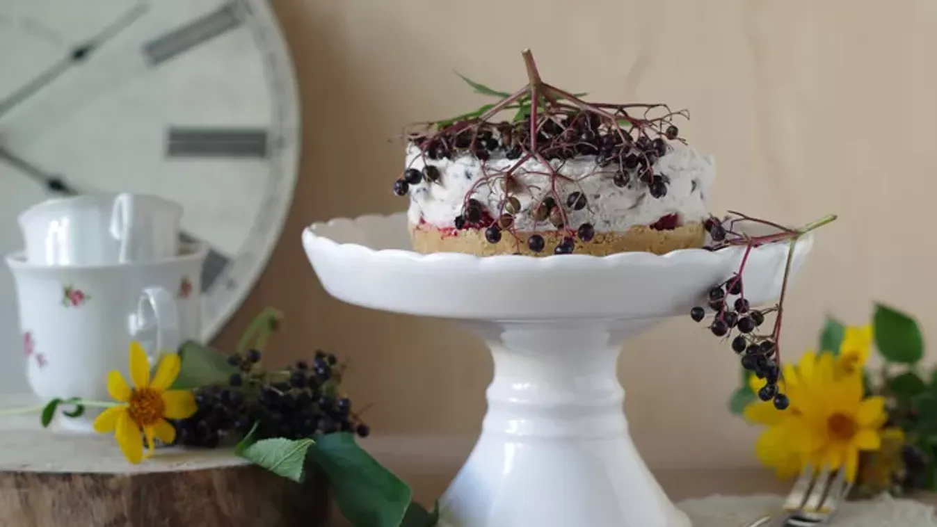 Érik a bodza: 3 ellenállhatatlan recept, amit még idén nyáron ki kell próbálnod