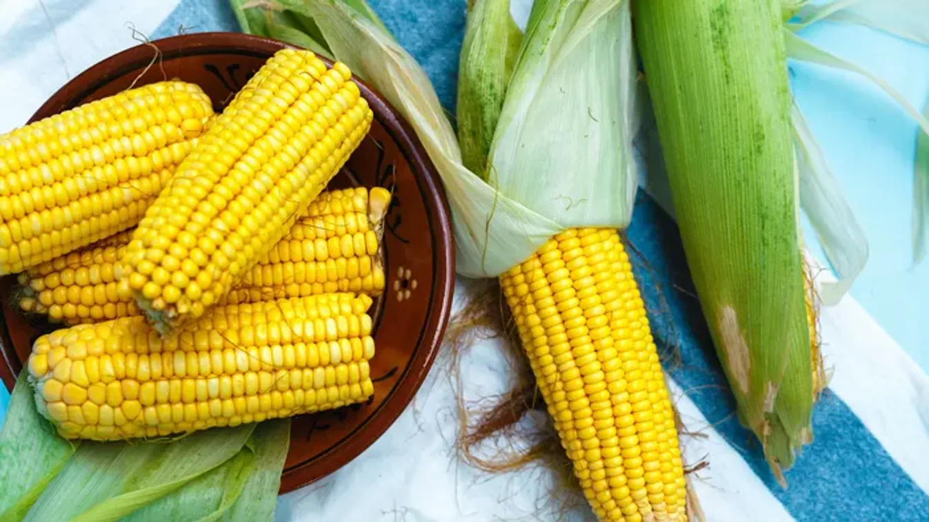 Ki ne dobd a kukoricacsutkát: a titkos alaplé recept, amit minden háziasszonynak ismernie kell