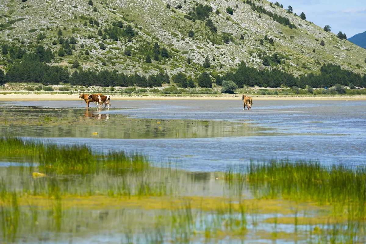 Horvátország, Vrana-tó, Natúrpark