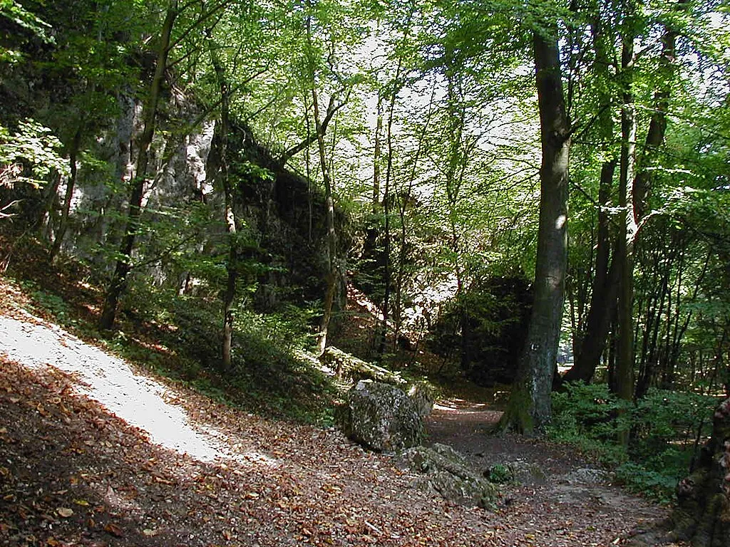 Zirc, Cuha-patak völgye, természet