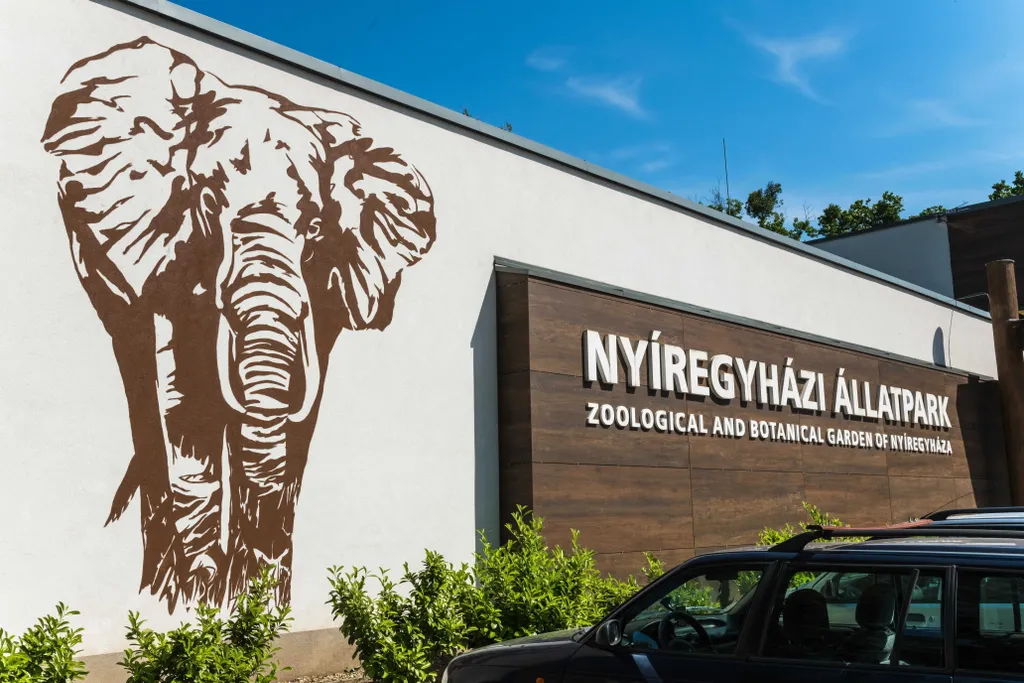 Nyíregyházi Állatpark: Európa egyik legmodernebb és legnagyobb alapterületű állatparkja, ahol földrészek szerint csoportosított élőhelyeken élnek az állatok. Kiemelkedő látványosság a jegesmedvék és az afrikai szavanna bemutató.