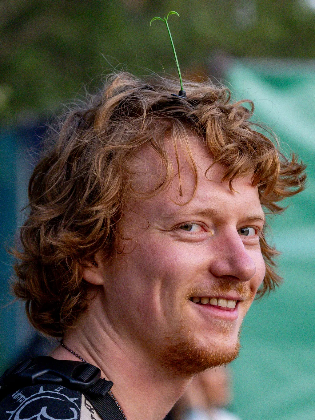 20250807_Sziget csütörtök_SZL