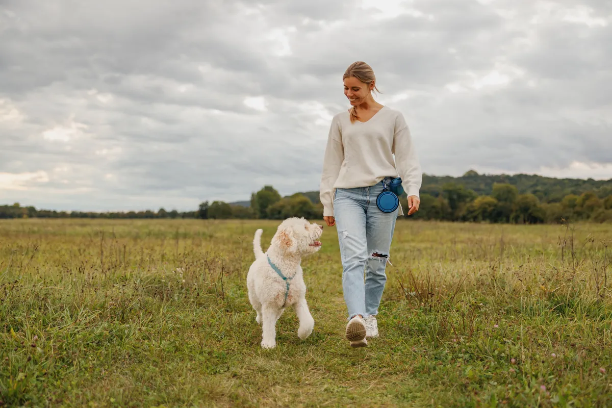 Nő kutyájával sétál a mezőn, ahol a természet ad inspirációt és motivációt a boldog élethez.