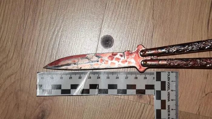Azzal hívta fel a gönyűi fiú a rendőrséget, hogy megölte az édesanyját és a nagymamáját– a rendőrök megtalálták az összekaszabolt asszonyokat
