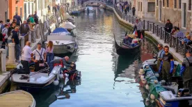 Horror hentes Velencében: Biagio gyerekeket főzött a vendégeinek