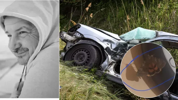 Az elhunyt Attila pillangó képében jelent meg a feleségének