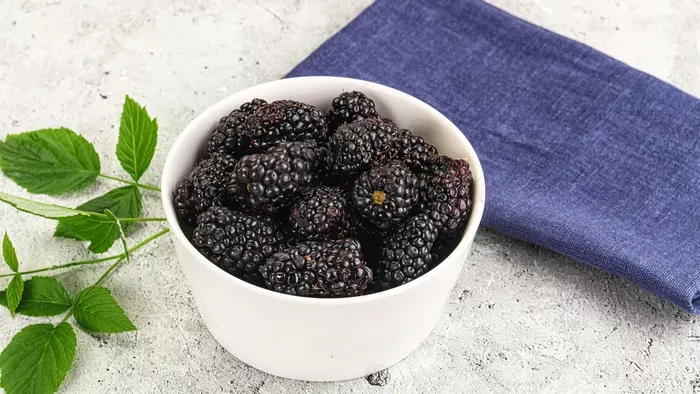 Főszerepben a szeder: 3 isteni szedres desszert recept