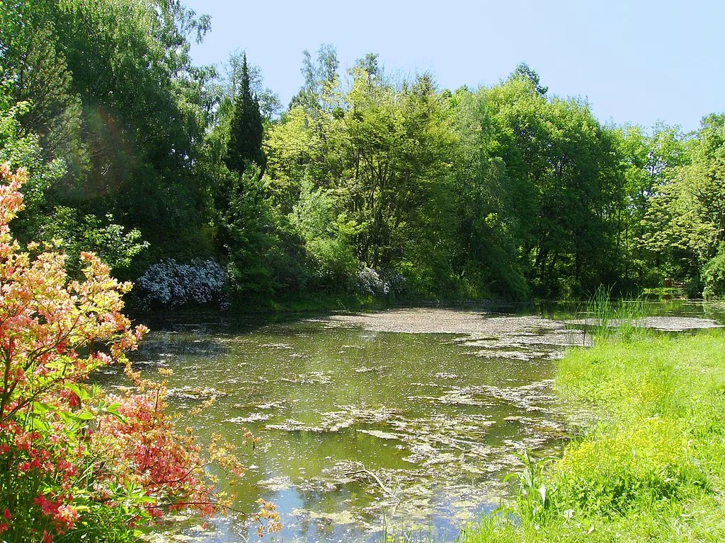 Szombathely, Kámoni Arborétum, tó, növények