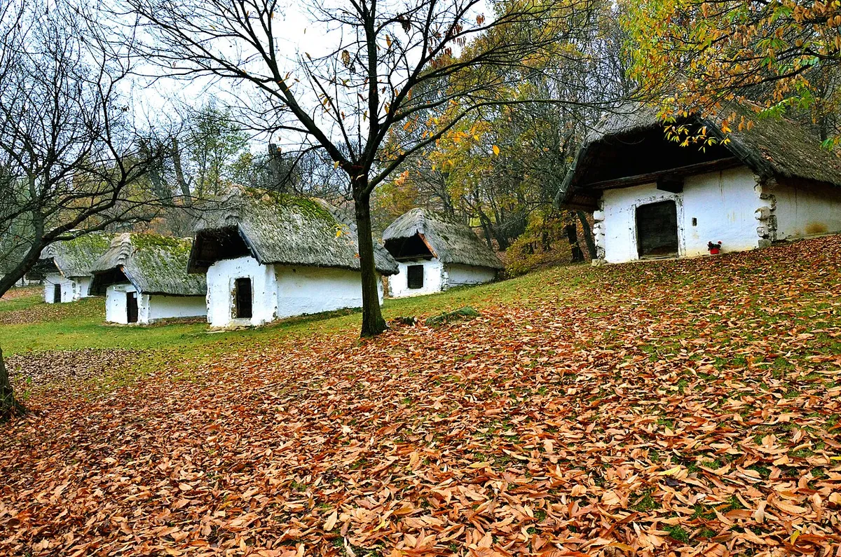 Velem, Cáki, pincesor, őszi táj