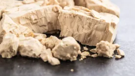 Barát vagy ellenség az élesztő? Most lerántjuk a leplet