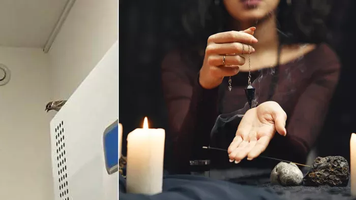 Így figyelmeztette Annát a fecske anyja halálára