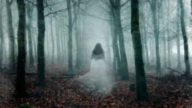 Horrorisztikus szellem jelent meg egy élőben közvetített videón, beindultak a találgatások