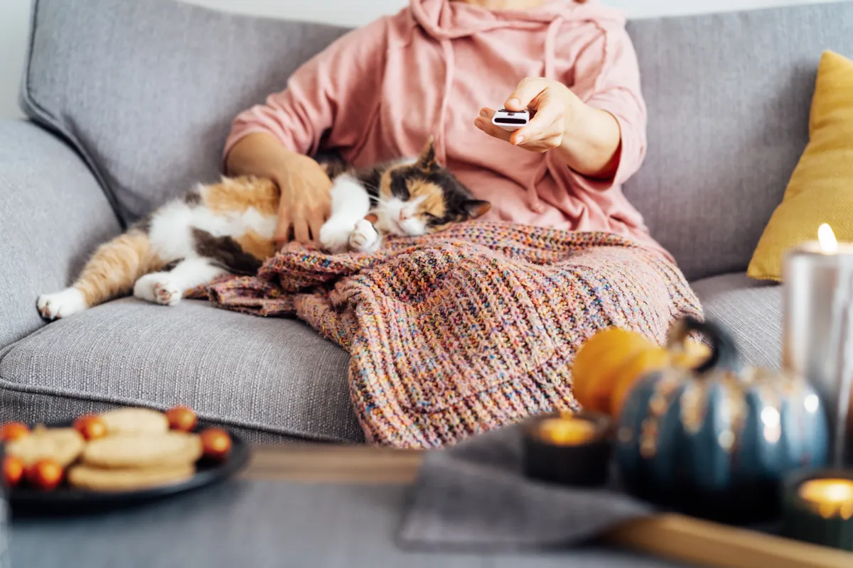 személyiségteszt, filmmaraton, filmezés, macska, bekuckózás