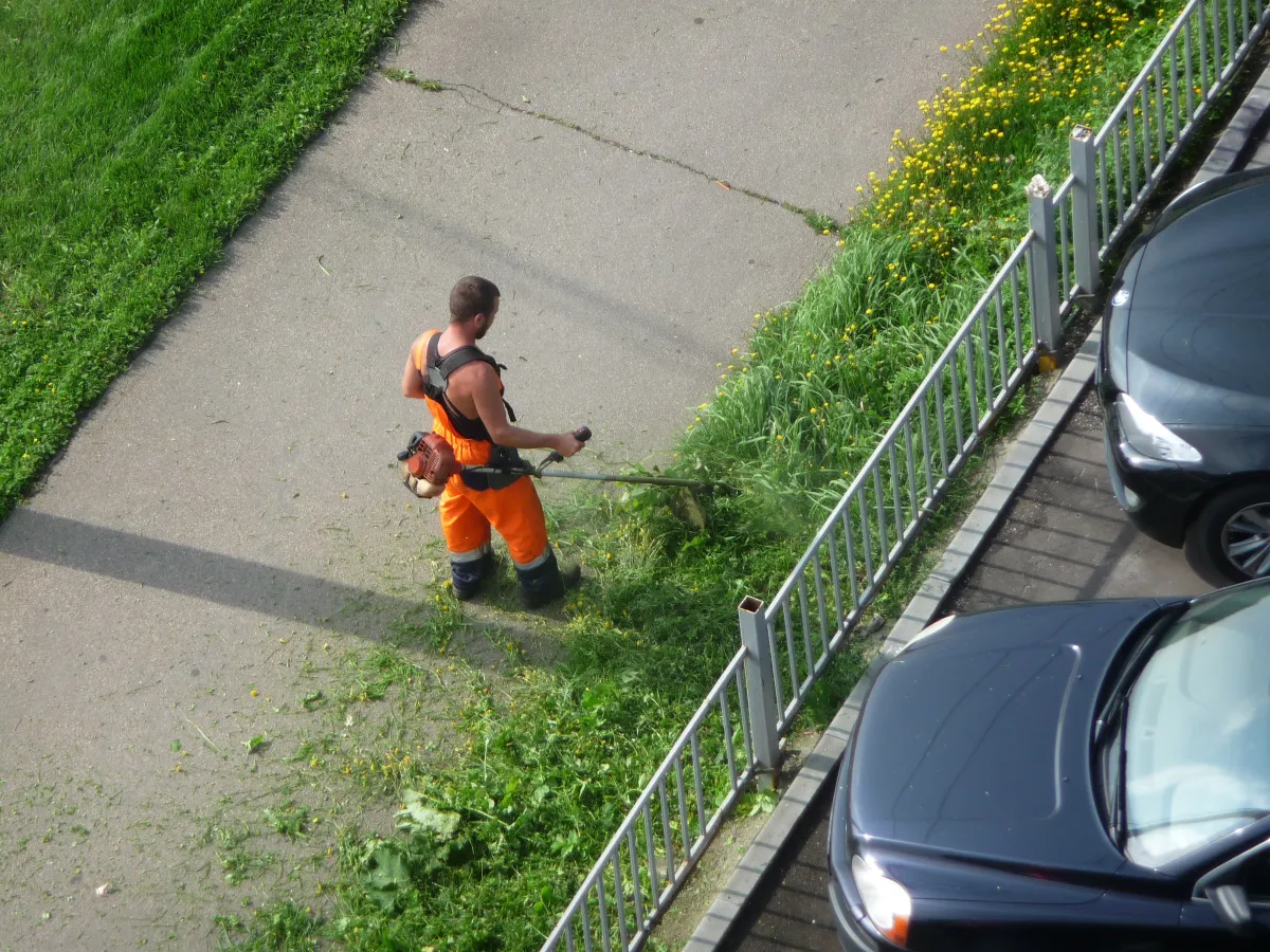  fűnyírás, az autótulajdonosok rémálma