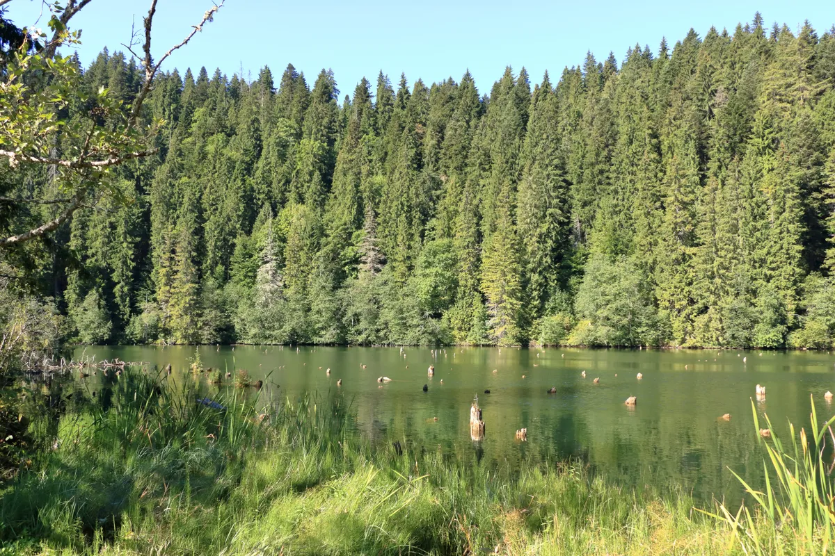 Gyilkos-tó, Erdély