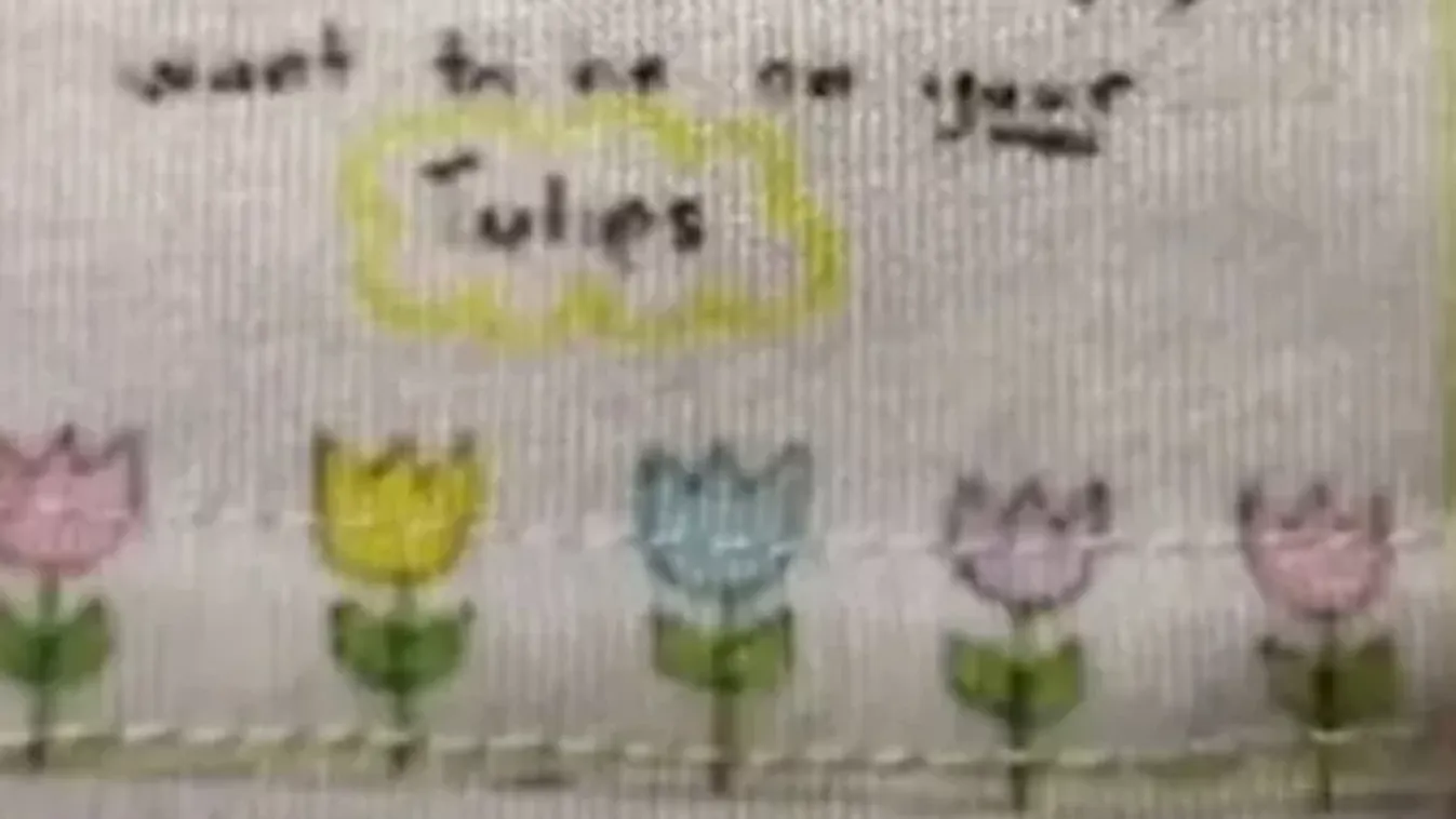Egy anya minden szülőt figyelmeztet: Sokkoló üzenetet talált kislánya ruhájában! (+18)