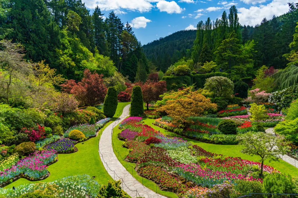 A kanadai Butchart Gardens Vancouver szigetének egyik fő látványossága, ahol egy elhagyott mészkőbányából varázsoltak virágzó színtengert több mint száz éve.