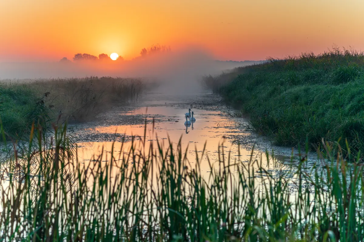 Baranja, Horvátország