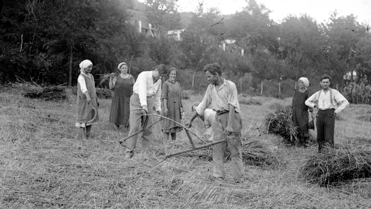Archív fotó és retró kvíz az aratásról