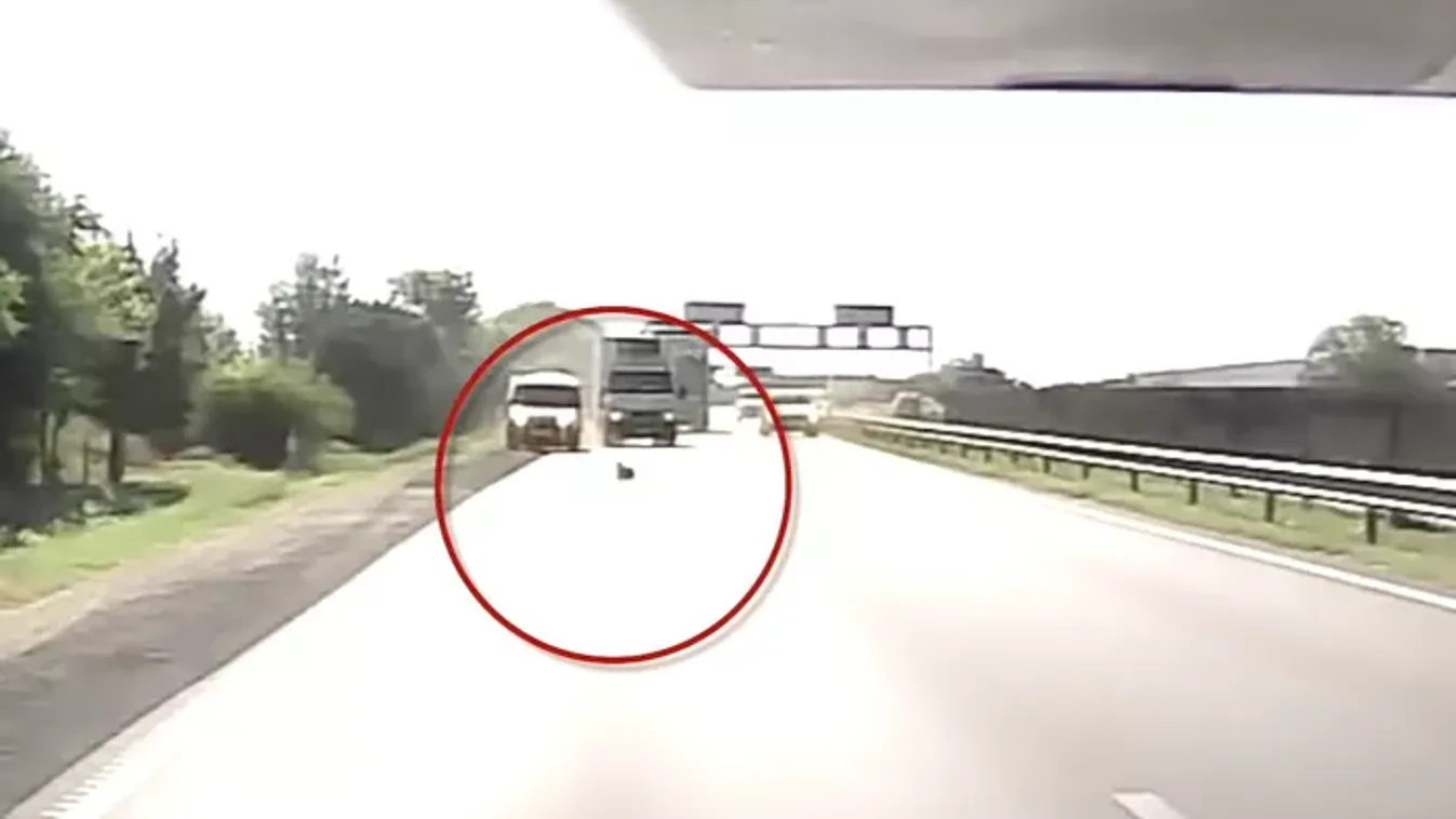 Kitört a káosz az M4-es főúton, elszabadult kutya okozott tömegbalesetet - Videó!