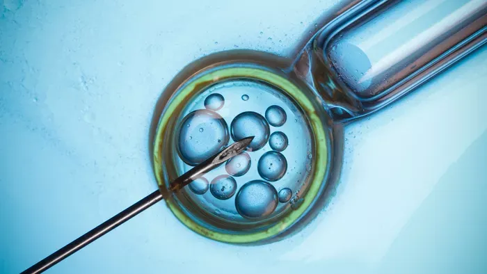 Lombikprogram: út a vágyott babáig