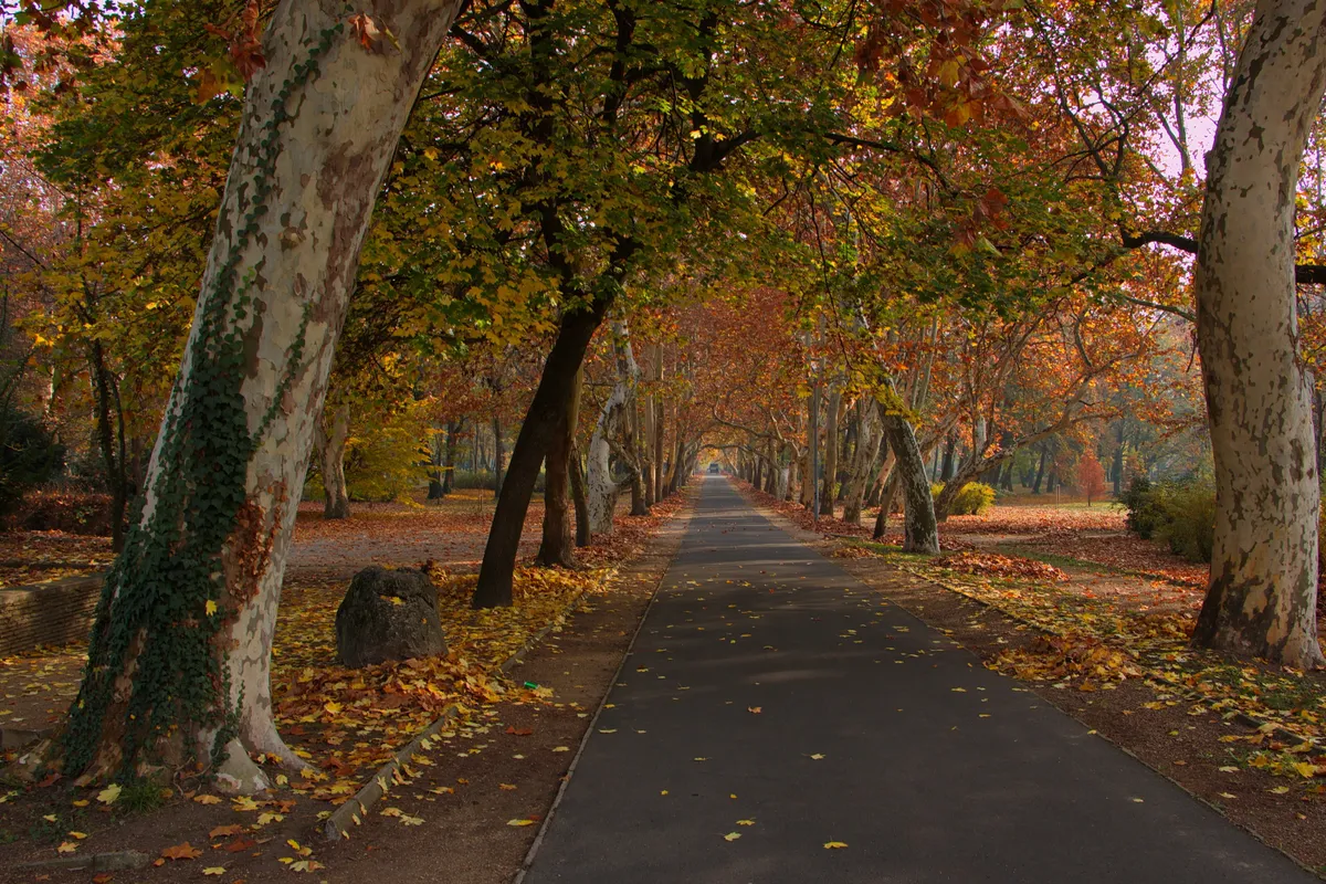 A keszthelyi Helikon park ősszel