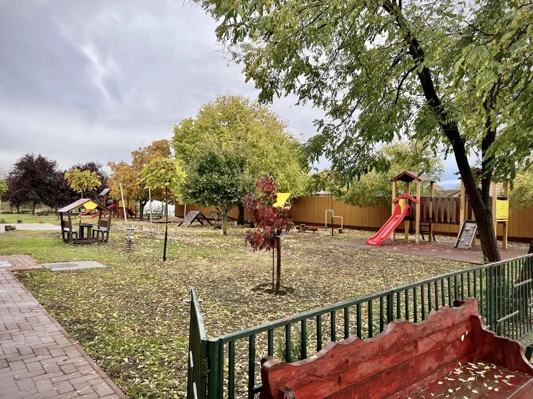 Csányi mászókabaleset