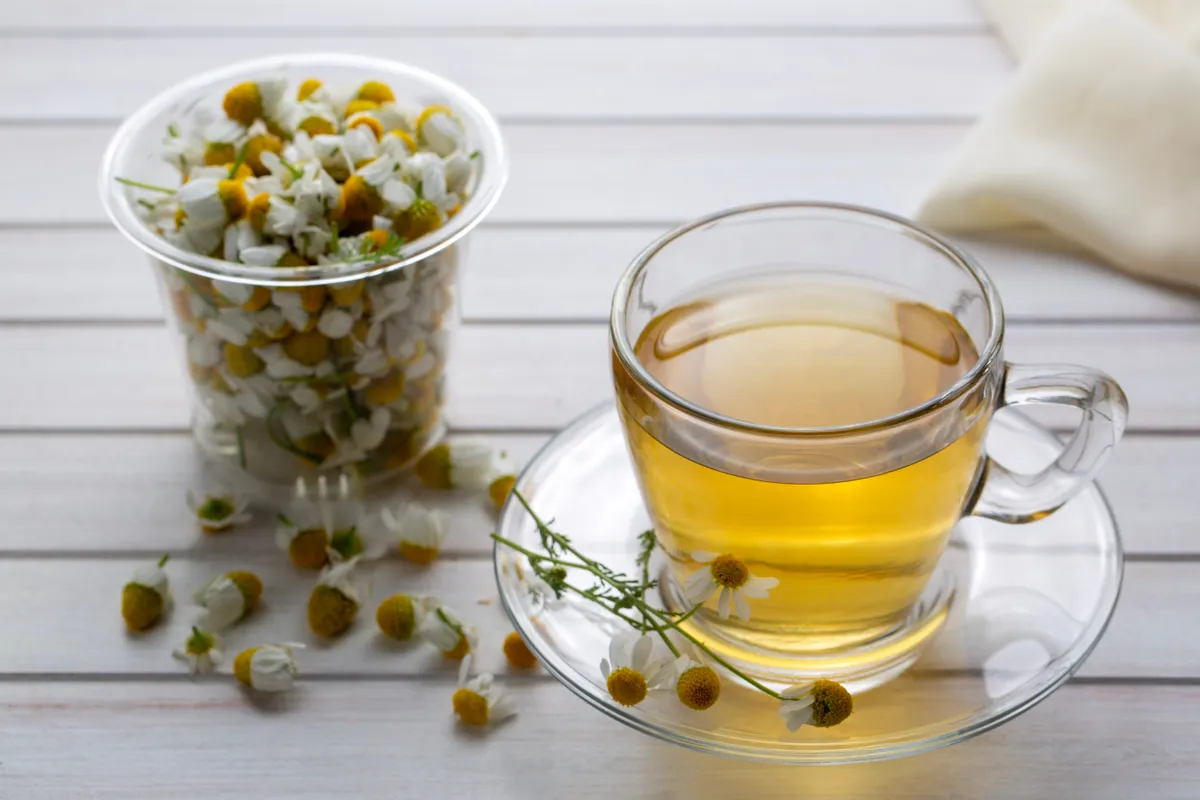 Kamillatea magas vérnyomás ellen