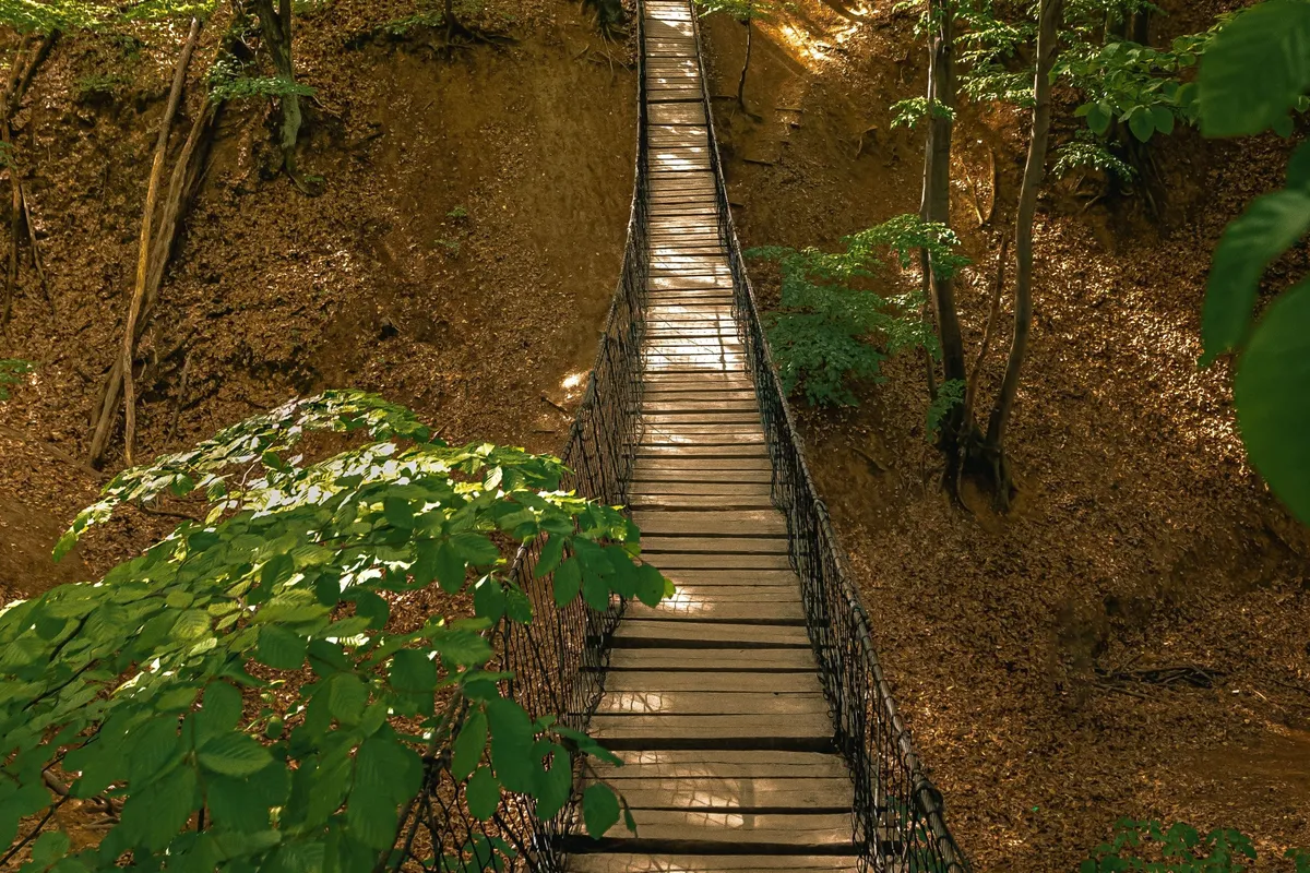 Börzsöny, Gyadai tanösvény függőhíd