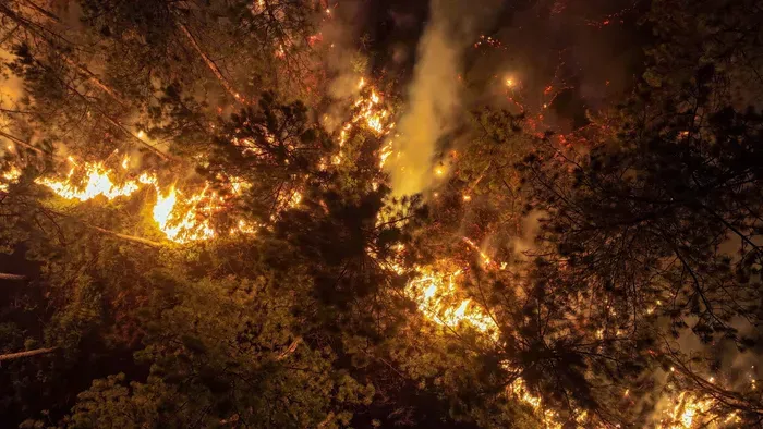 Mikor hivatkozhat vis maiorra az utazási iroda, a biztosító?