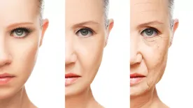 Ebben a két életkorban gyorsul fel legjobban az öregedés