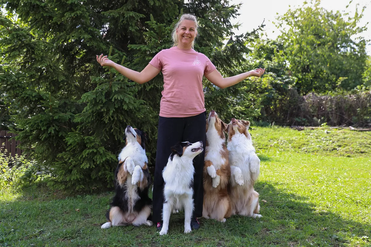 hollókő, sztárkutya, dog dancing, kutyatánc